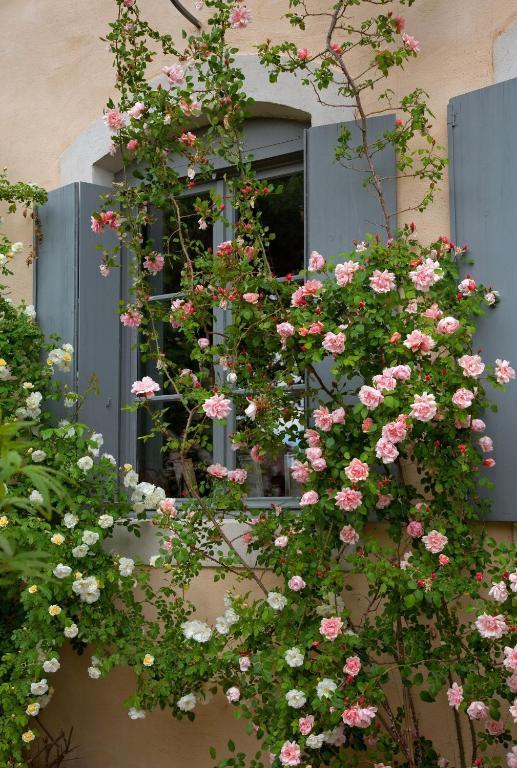 Logis Hotel - Restaurant La Marbrerie Caunes-Minervois Room photo